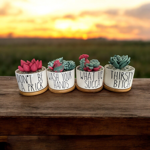 Trash-Talking Succulent Soaps