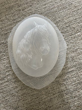 Load image into Gallery viewer, Bath Bomb or Soap Mold Destash