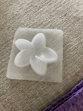 Load image into Gallery viewer, Bath Bomb or Soap Mold Destash
