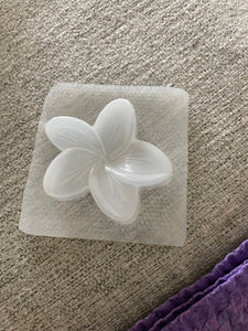 Bath Bomb or Soap Mold Destash