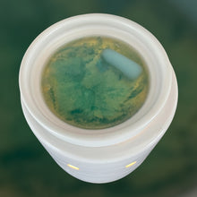 Load image into Gallery viewer, Wax Melt Clamshell of Six