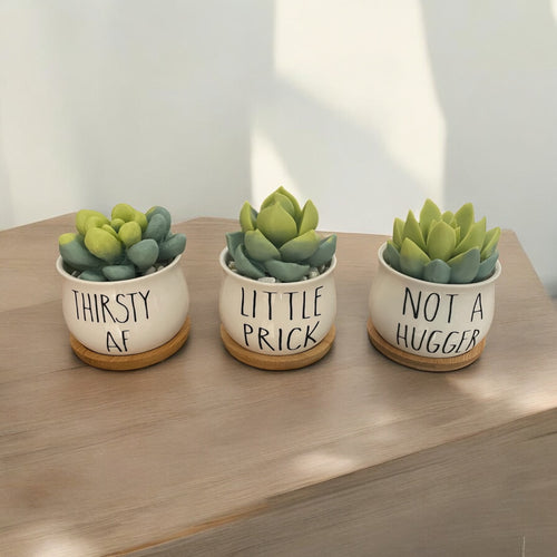 Trash-Talking Succulent Soaps