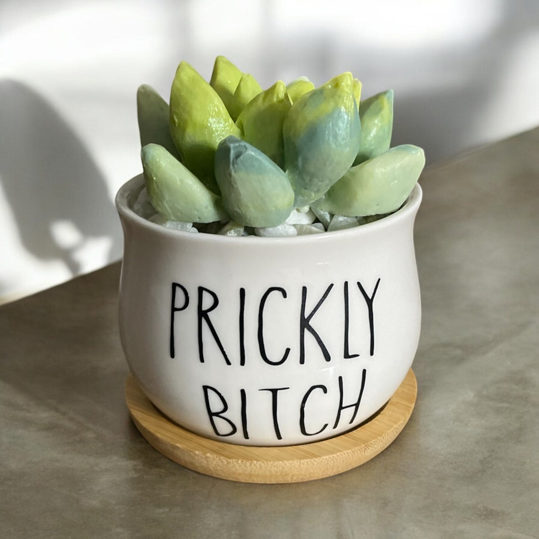 Trash-Talking Succulent Soaps