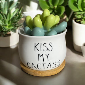 Trash-Talking Succulent Soaps