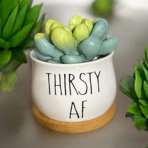 Trash-Talking Succulent Soaps