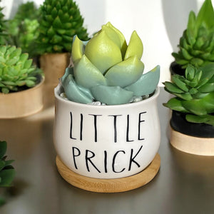 Trash-Talking Succulent Soaps